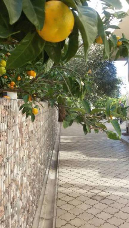 Residence Bella בודווה מראה חיצוני תמונה